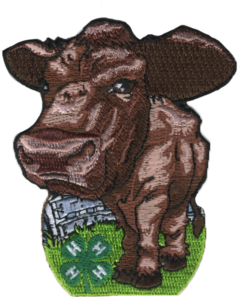 4-H embroidered patch - beef cattle